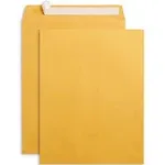 Blue Summit Supplies 100 10” x 13” Catalog Envelopes, Self Seal, for Mailing Catalogs, Magazines and Other Thick Documents, No Window, 28 lb Paper