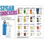 Sugar Shockers Foods Poster | Sugar Nutrition Education Poster for Classrooms, Offices | 18" x 24" Laminated