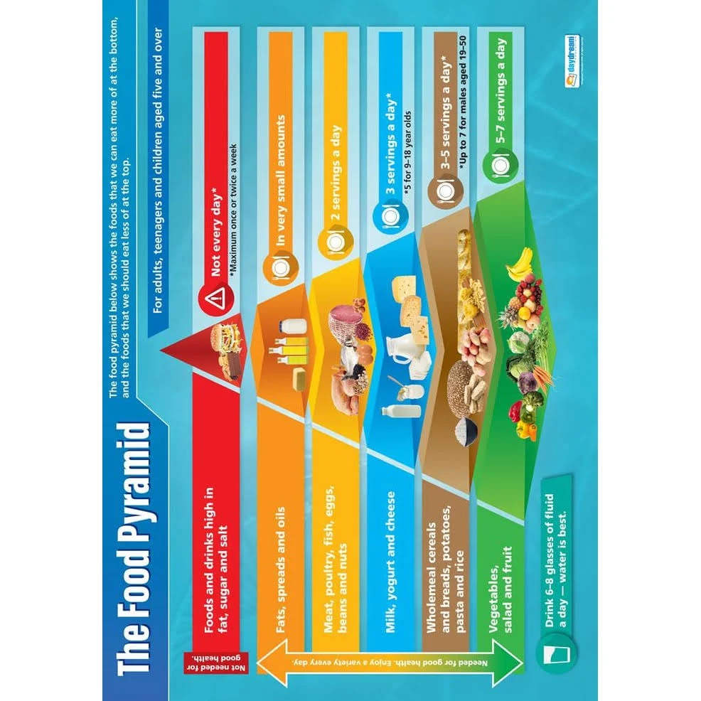 Daydream Education Food Pyramid Science Poster - EXTRA LARGE 33” x 23.5” - Gloss Paper - STEM Middle & High School Classroom Decoration - Wall Charts