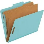 Pendaflex 2-divider Recycled Classification Folders