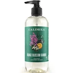 Caldrea Hand Wash Soap, Aloe Vera Gel, Olive Oil, Orange Peel and Ylang Ylang flower Essential Oils To Cleanse And Condition, Orange Blossom Bamboo scent, 10.8 Oz