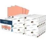 Hammermill Colors Print Paper, 20lb, 8.5 x 11, Salmon, 500/Ream