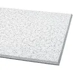 Armstrong 2195 24" L x 24" W Cortega Ceiling Tile