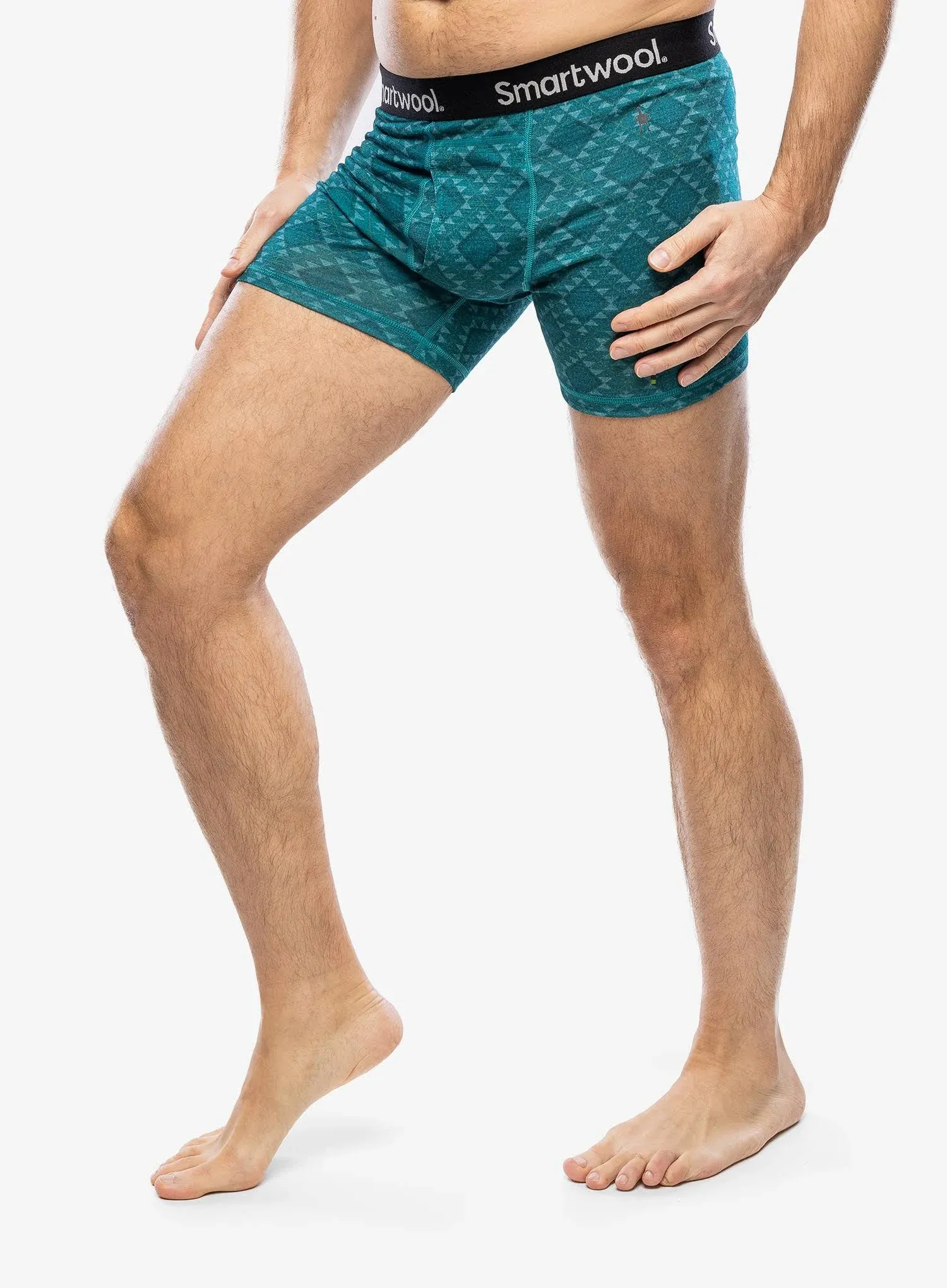 Smartwool Men's Merino Print Boxer Briefs