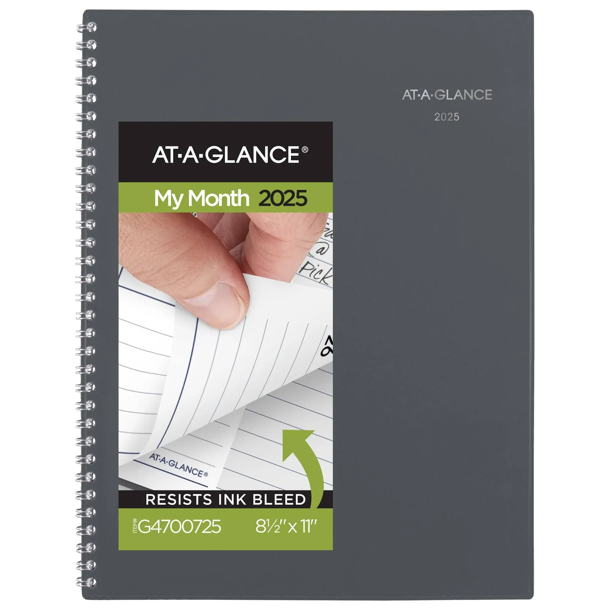 AT-A-GLANCE 2025 DayMinder Monthly Planner (Gray)