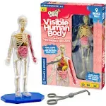 Thames & Kosmos Ooze Labs: Visible Human Body Model with Squishable Organs, Children Ages 6+