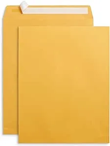 Blue Summit Supplies 100 10” x 13” Catalog Envelopes, Self Seal, for Mailing Catalogs, Magazines and Other Thick Documents, No Window, 28 lb Paper