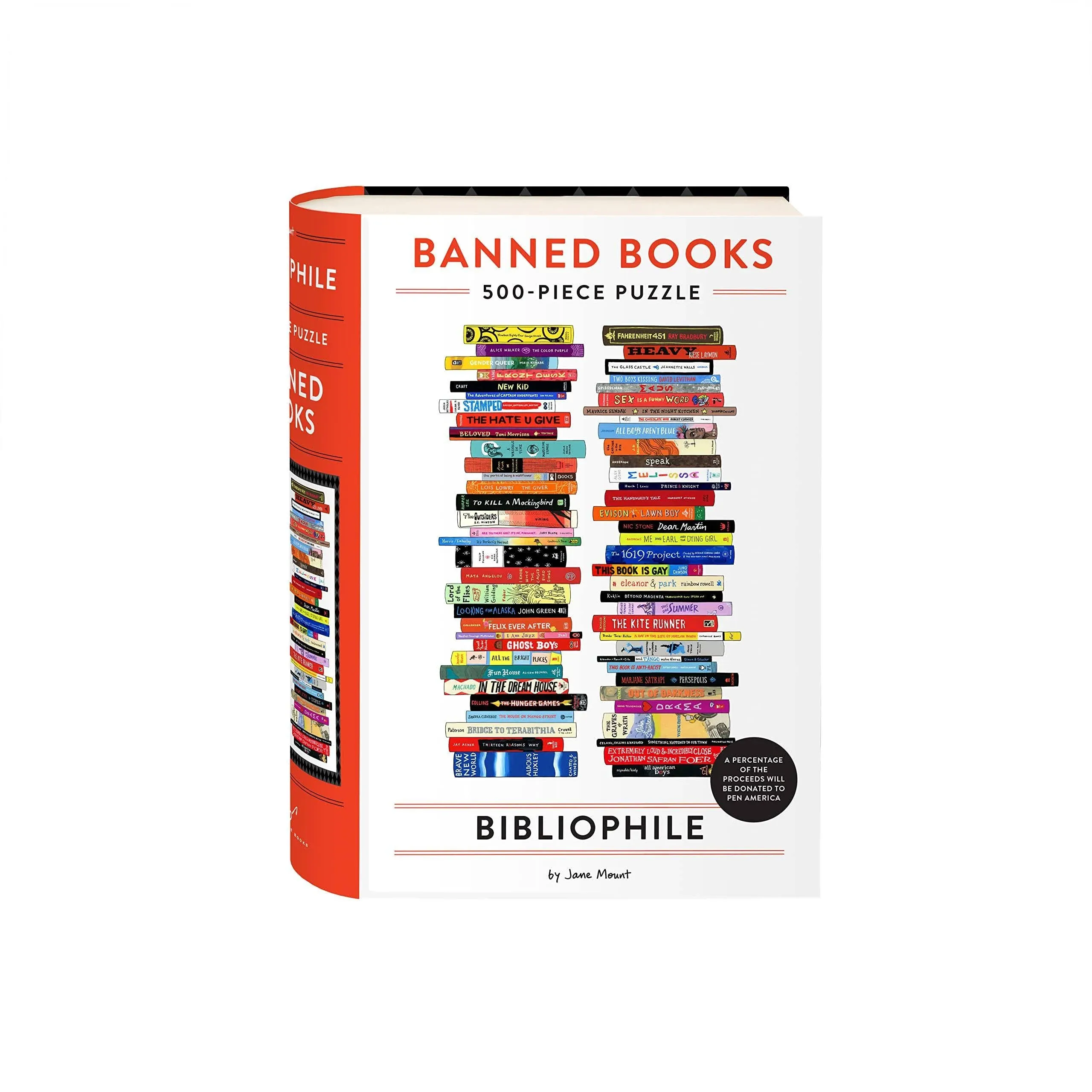 Banned Books Puzzle