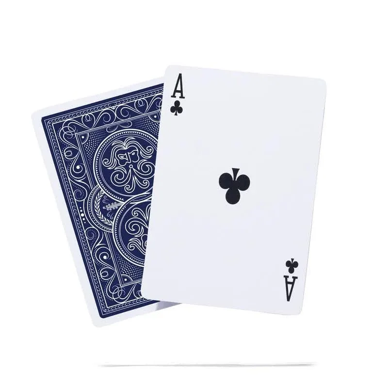 The Aeolus Deck Wind-Resistant Waterproof Playing Cards