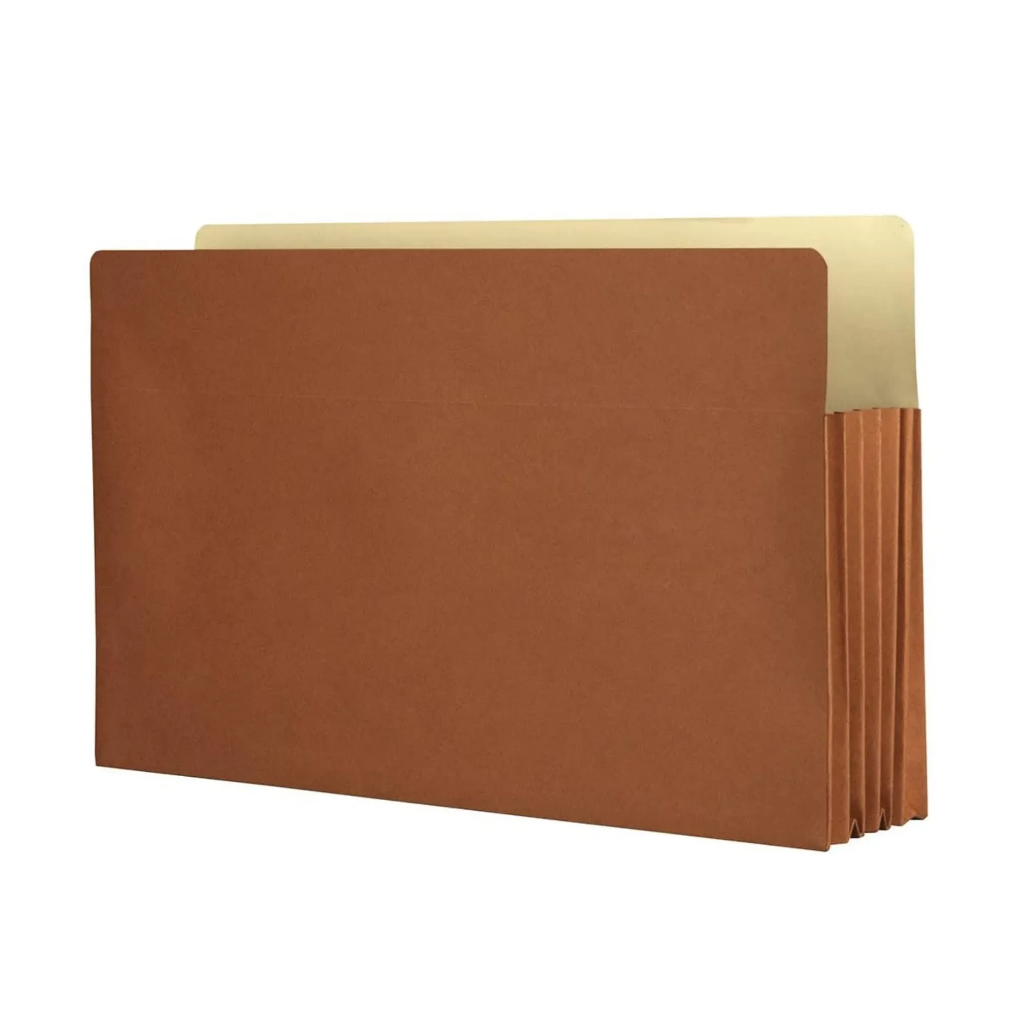 The File King Expanding Accordion File Folder