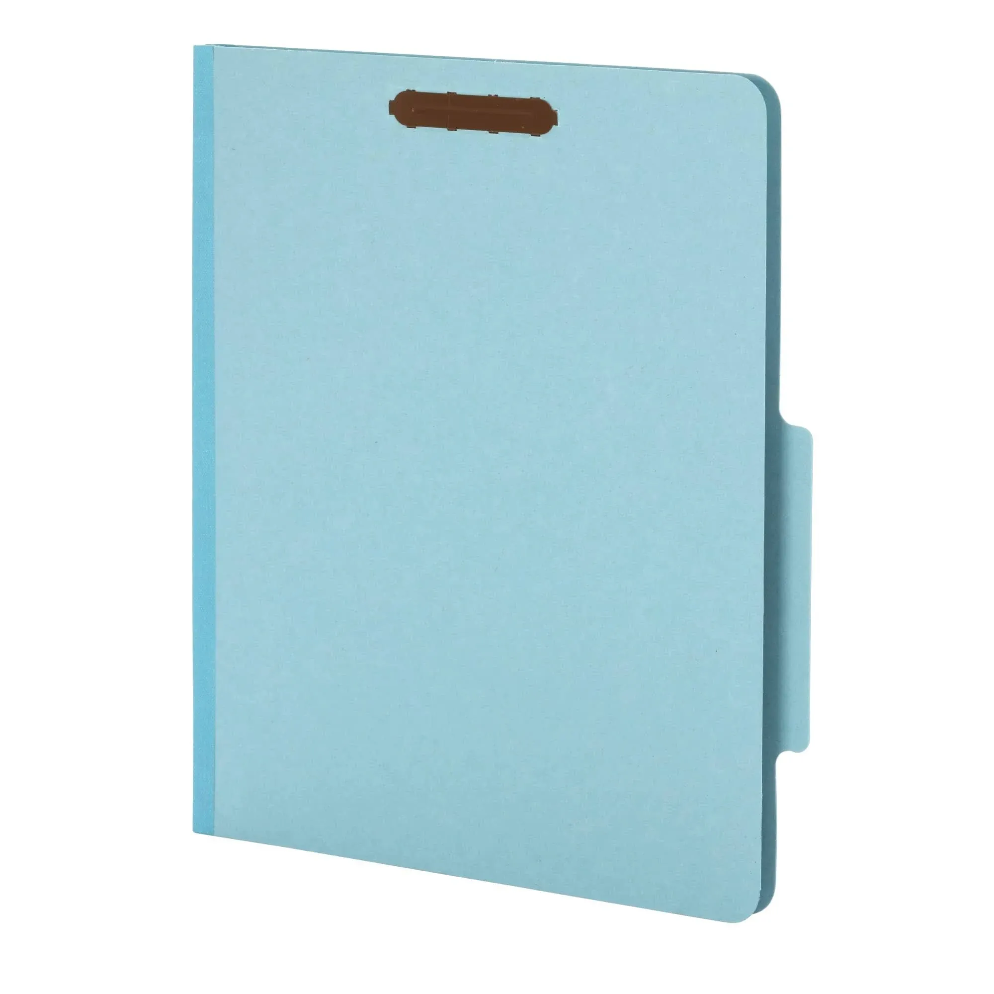 Pendaflex 2-divider Recycled Classification Folders