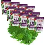 Brad's Plant Based - Raw Crunch - Vampire Killer - Case of 12 - 2 oz.