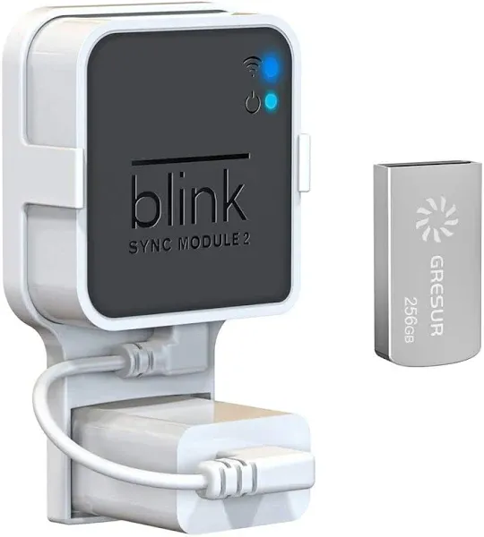 256GB USB Flash Drive for Local Video Storage with Outlet Mount for Blink Module