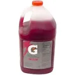 Gatorade Grape 1 Gallon Liquid Concentrate (Pack of 4)