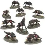 Figurine games SOULBLIGHT GRAVELORDS: DIRE WOLVES 