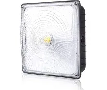 Parmida LED Canopy Light