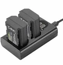 Neewer Dual USB Charger for Sony NP-FZ100 Battery