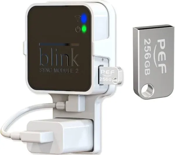 256GB USB Flash Drive and Outlet Wall Mount for Blink Sync Module 2 save Space