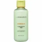 BRINGGREEN Artemisia Cera Calming Moisture Toner 250ml