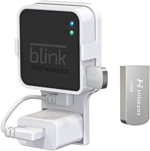 256GB Blink USB Flash Drive and Outlet Wall Mount for Blink Sync Module 2, Space