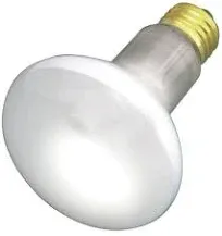 Satco S2810 30 Watt R20 Incandescent Frost Light Bulb