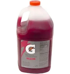 Gatorade Fruit Punch Liquid Concentrate