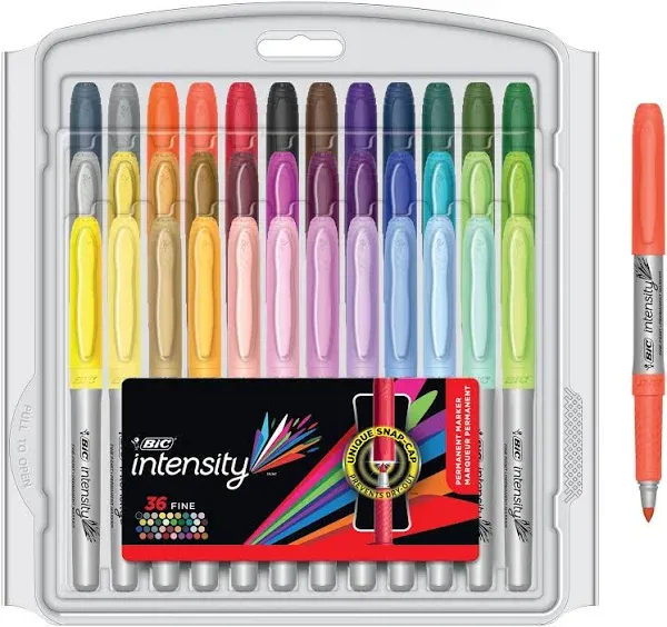 BIC Intensity Fine Tip Permanent Markers