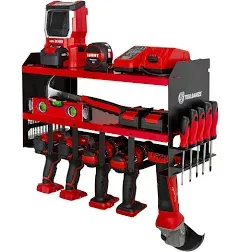 Toolganize Power Tool Organizer