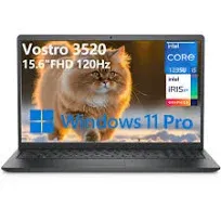 Dell Vostro 3000 Series 3520 15.6 inch FHD 120Hz Business Laptop