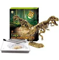 3D Dinosaur T-Rex Skeleton Excavation Kit NEW Kids Building Craft   Toy