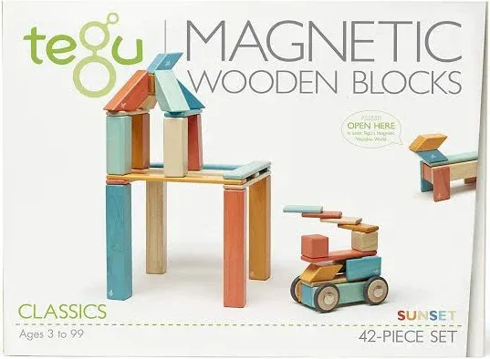 Tegu Magnetic Wooden Block Set