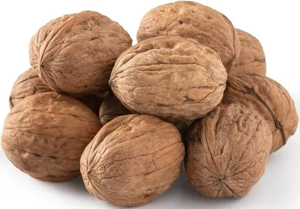 NUTS U.S. - Walnuts In Shell | Grown and Packed in California | Chandler Variety