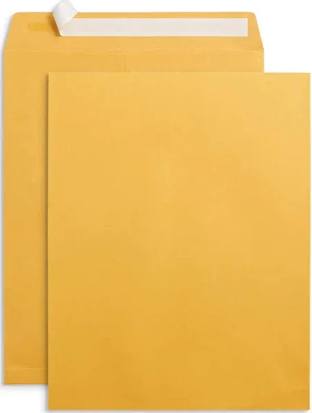 100 10” X 13” Catalog Envelopes, Self Seal, for Mailing Catalogs, Magazines 