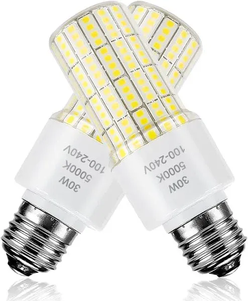 RIUVAO 2 Pack LED Light Bulb