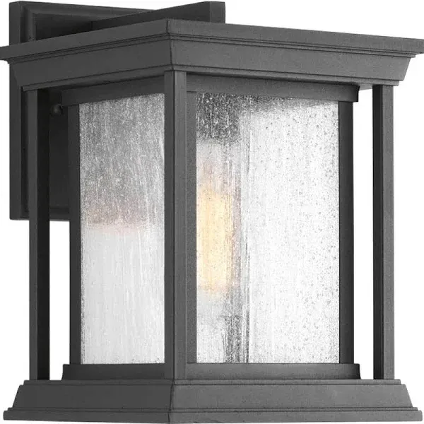 Progress Lighting P5605-31 Endicott Outdoor, Black