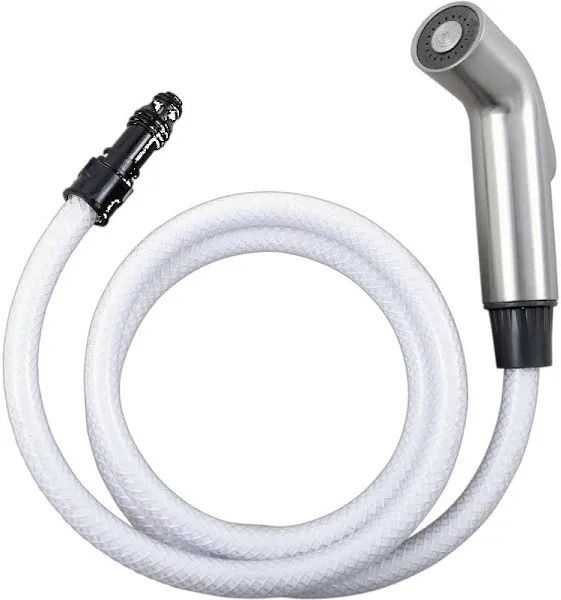 Delta Spray Hose Assembly RP60097