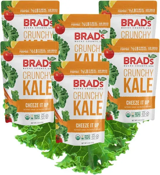 Brad's Plant Based Crunchy Kale Cheeze It Up