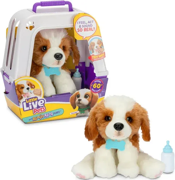 Little Live Pets My Really Real Puppy – Patches; Interaktiver Welpe; 60+ Geräusche/Reaktionen; realistisches Aussehen; 1 aus 72 Varianten; Spielset mit Transportbox; Batterien enthalten; ab 5 Jahren