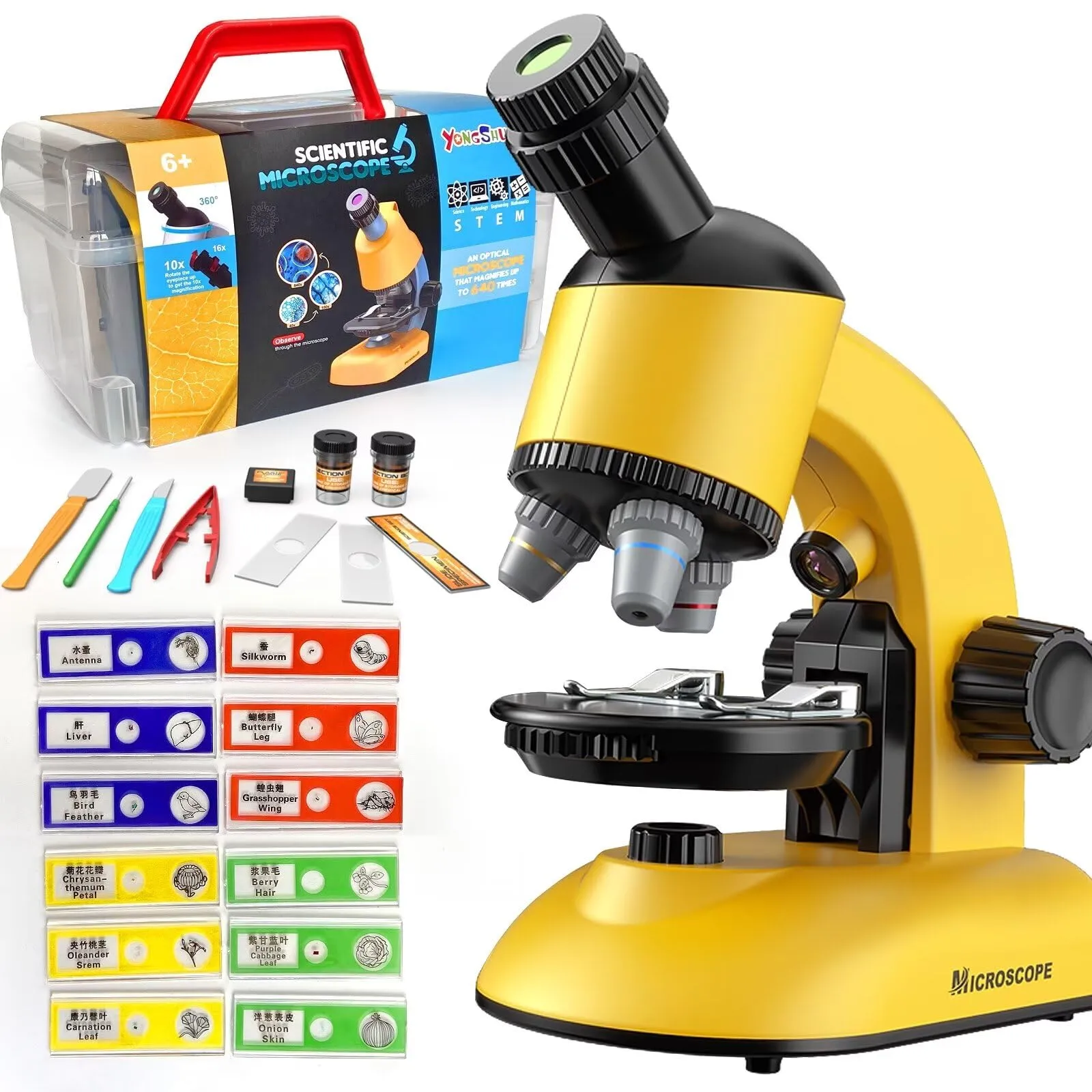 Microscope for Kids