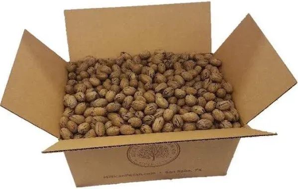 Millican Pecan Texas Squirrel Grade In Shell & Cracked Pecans Bulk