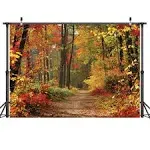 Autumn Scenery Deciduous Background 7x5ft Vinyl Deciduous Mountain Road Photo...