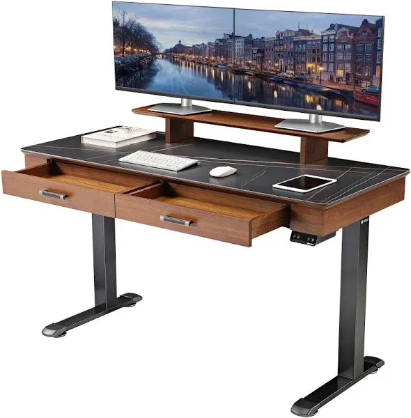 Eureka Ergonomic 55'' Classic Standing Desk with Slate Table Top