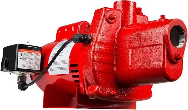 Red Lion 602207 Premium Cast Iron Shallow Jet Pump RJS-75 3/4HP NEW