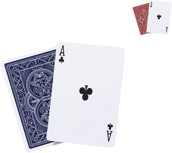 The Aeolus Deck Wind-Resistant Waterproof Playing Cards