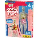 Thames & Kosmos Ooze Labs: Visible Human Body with Squishable Organs