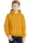 Heavy Blend Hooded Sweatshirt