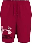 Under Armour Boys' Tech Logo Shorts