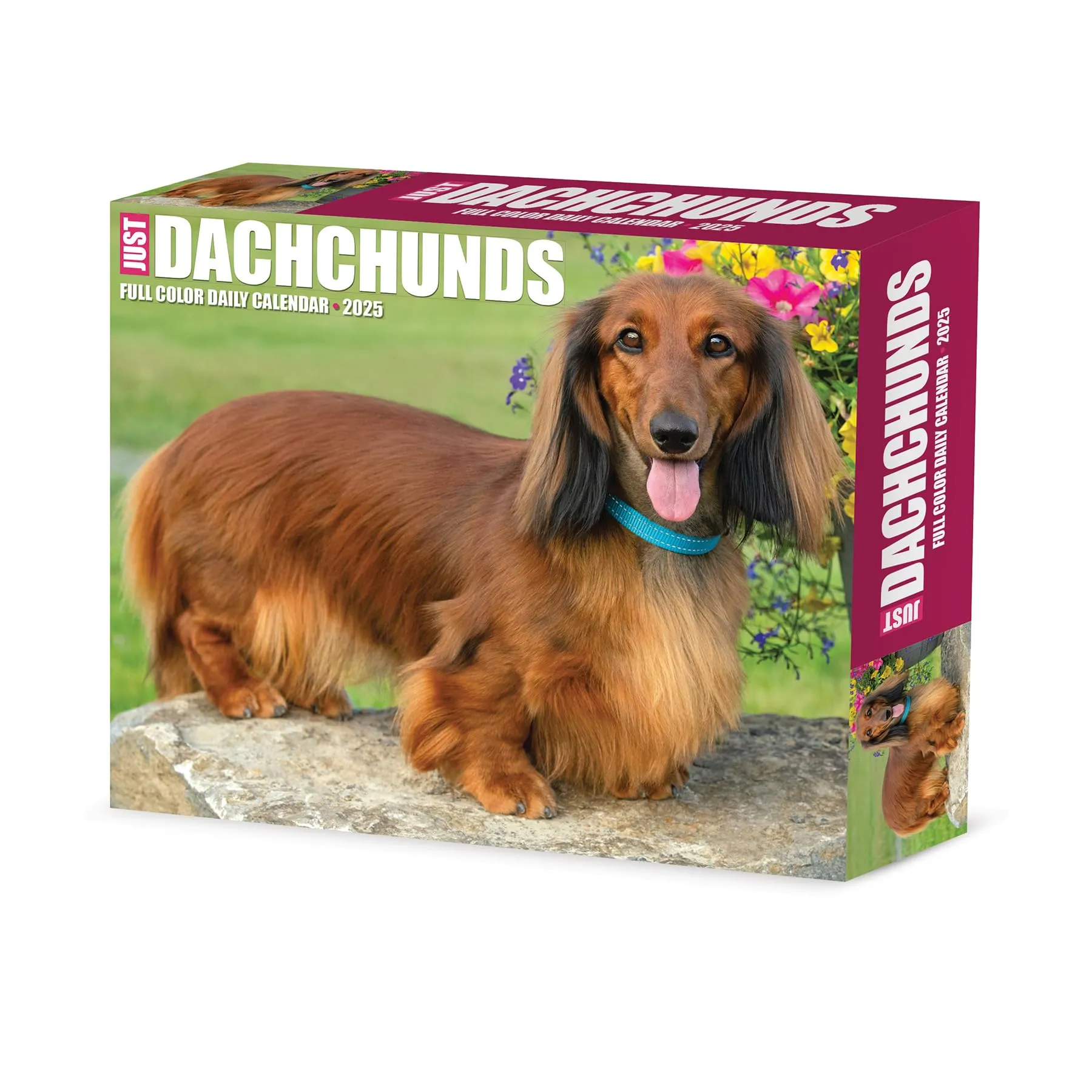 Willow Creek Dachshunds Box Calendar