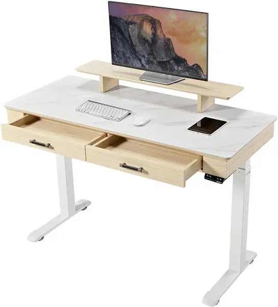 Eureka Ergonomic 55'' Classic Standing Desk with Slate Table Top