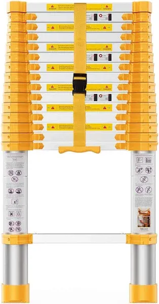 Telescoping Ladder